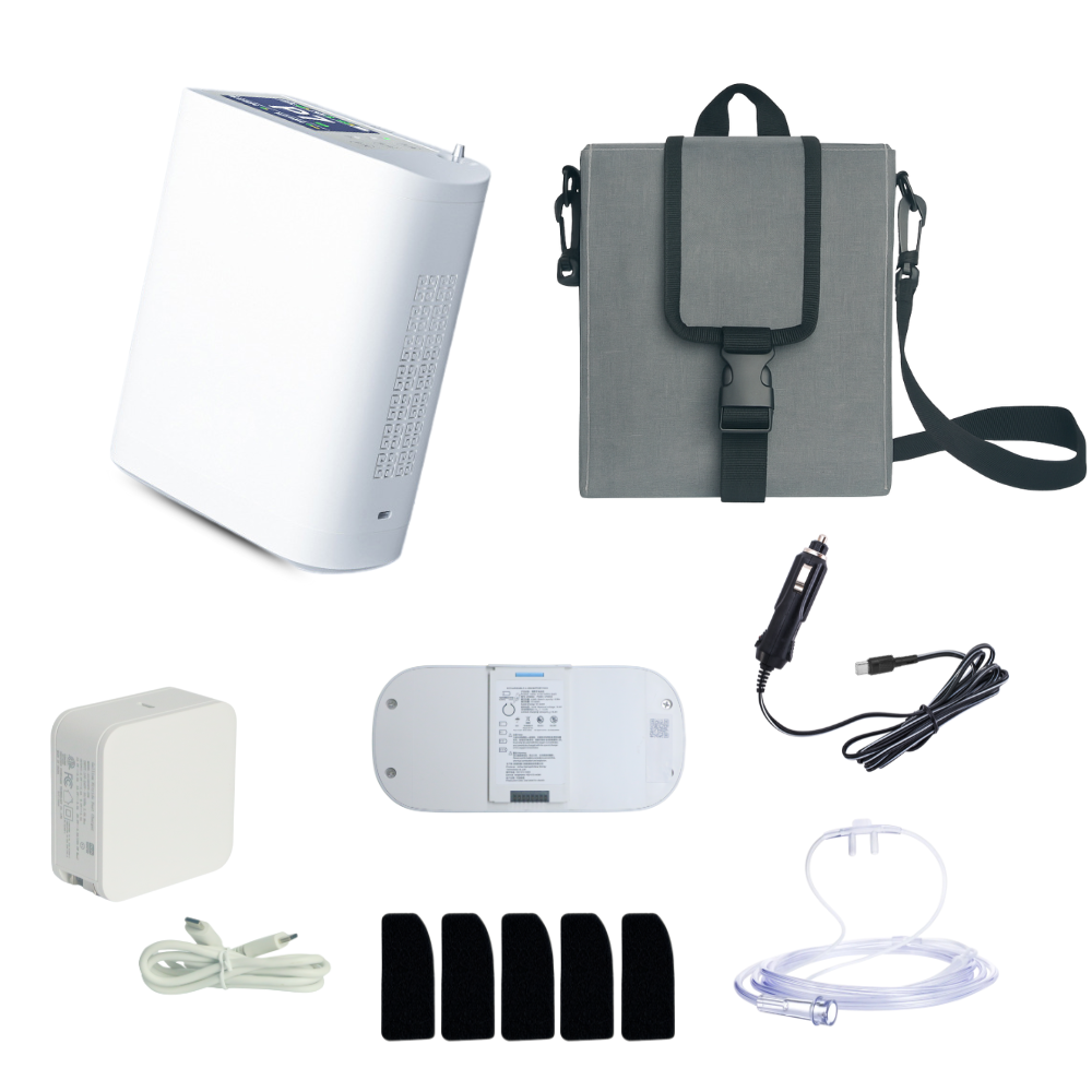 Small 8L Portable Battery Oxygen Concentrator Two Flow Modes Low Noise Work All Night Continuously POC-08